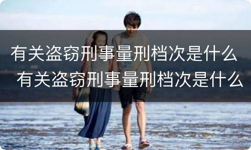 有关盗窃刑事量刑档次是什么 有关盗窃刑事量刑档次是什么标准