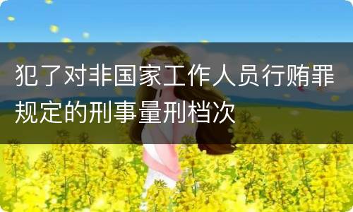 犯了对非国家工作人员行贿罪规定的刑事量刑档次