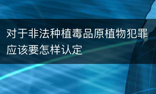 对于非法种植毒品原植物犯罪应该要怎样认定