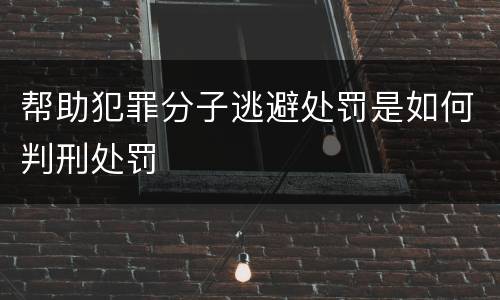 帮助犯罪分子逃避处罚是如何判刑处罚