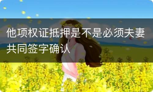 他项权证抵押是不是必须夫妻共同签字确认
