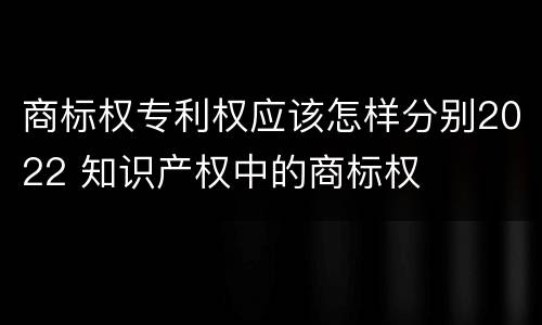 商标权专利权应该怎样分别2022 知识产权中的商标权