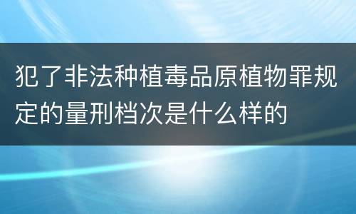 犯了非法种植毒品原植物罪规定的量刑档次是什么样的