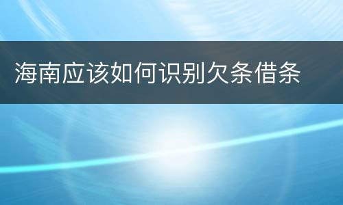 海南应该如何识别欠条借条