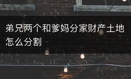 弟兄两个和爹妈分家财产土地怎么分割