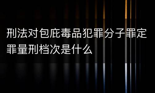 刑法对包庇毒品犯罪分子罪定罪量刑档次是什么