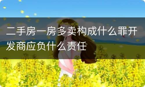 二手房一房多卖构成什么罪开发商应负什么责任