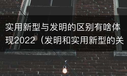 实用新型与发明的区别有啥体现2022（发明和实用新型的关系）