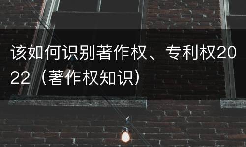 该如何识别著作权、专利权2022（著作权知识）