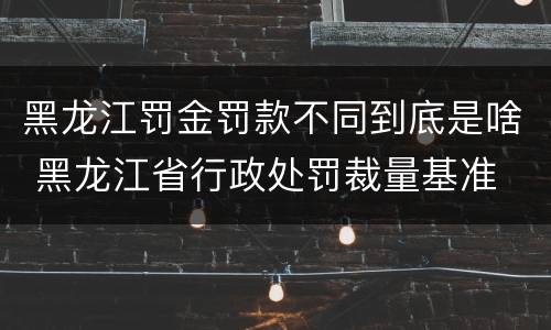 黑龙江罚金罚款不同到底是啥 黑龙江省行政处罚裁量基准