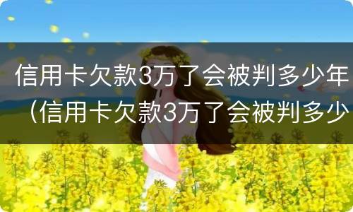 信用卡欠款3万了会被判多少年（信用卡欠款3万了会被判多少年呢）
