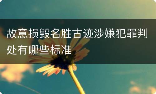 故意损毁名胜古迹涉嫌犯罪判处有哪些标准