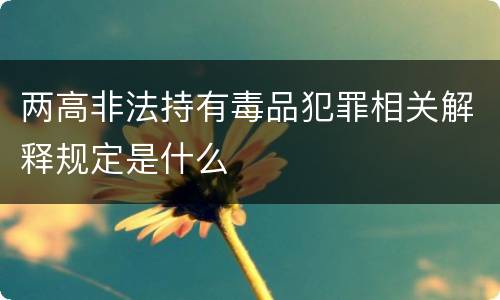 两高非法持有毒品犯罪相关解释规定是什么