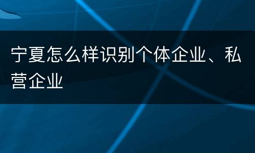 宁夏怎么样识别个体企业、私营企业
