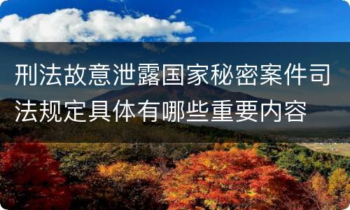 刑法故意泄露国家秘密案件司法规定具体有哪些重要内容