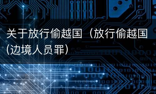 关于放行偷越国（放行偷越国(边境人员罪）