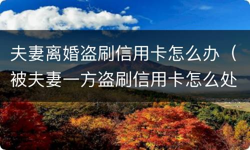 夫妻离婚盗刷信用卡怎么办（被夫妻一方盗刷信用卡怎么处理）