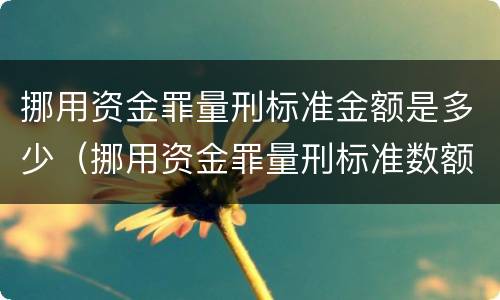 挪用资金罪量刑标准金额是多少（挪用资金罪量刑标准数额巨大）