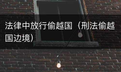 法律中放行偷越国（刑法偷越国边境）