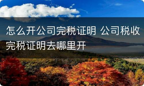 怎么开公司完税证明 公司税收完税证明去哪里开