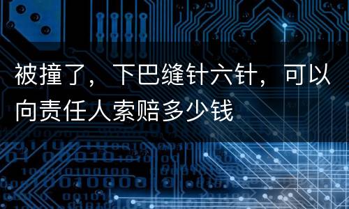 被撞了，下巴缝针六针，可以向责任人索赔多少钱