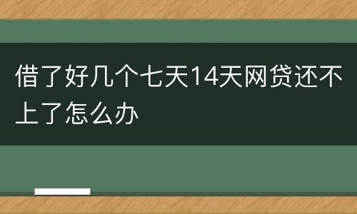 借了好几个七天14天网贷还不上了怎么办