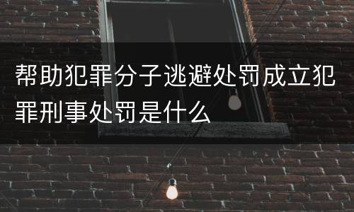 帮助犯罪分子逃避处罚成立犯罪刑事处罚是什么
