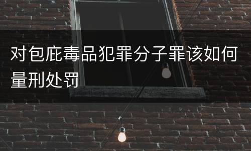 对包庇毒品犯罪分子罪该如何量刑处罚