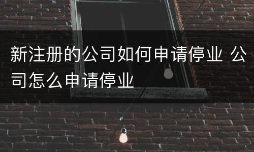 新注册的公司如何申请停业 公司怎么申请停业
