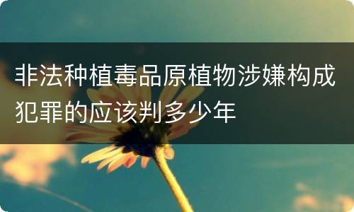 非法种植毒品原植物涉嫌构成犯罪的应该判多少年