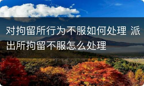 对拘留所行为不服如何处理 派出所拘留不服怎么处理