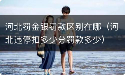 河北罚金跟罚款区别在哪（河北违停扣多少分罚款多少）