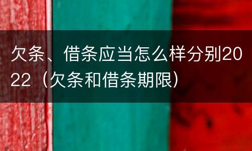欠条、借条应当怎么样分别2022（欠条和借条期限）