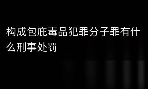 构成包庇毒品犯罪分子罪有什么刑事处罚
