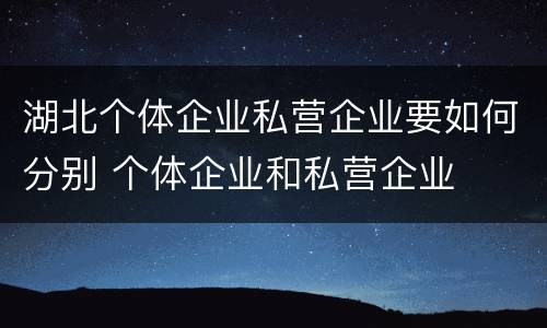 湖北个体企业私营企业要如何分别 个体企业和私营企业