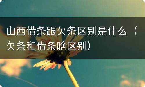 山西借条跟欠条区别是什么（欠条和借条啥区别）