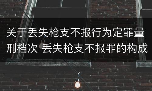关于丢失枪支不报行为定罪量刑档次 丢失枪支不报罪的构成要件