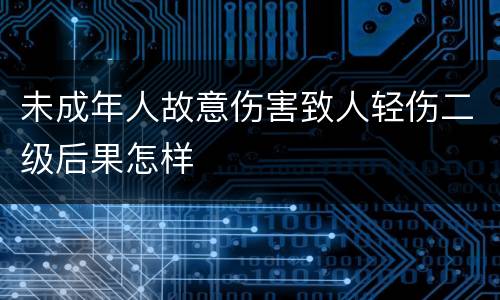 未成年人故意伤害致人轻伤二级后果怎样