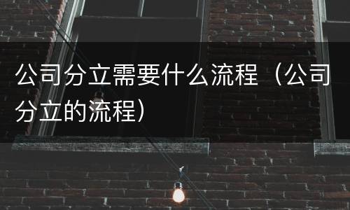 公司分立需要什么流程（公司分立的流程）