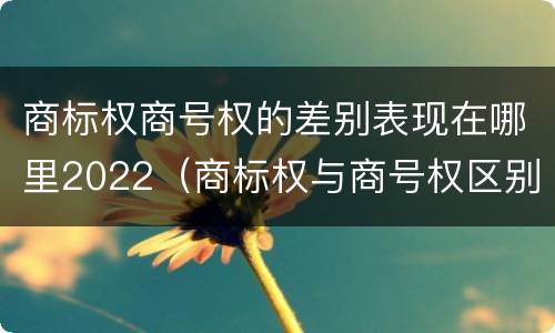 商标权商号权的差别表现在哪里2022（商标权与商号权区别）