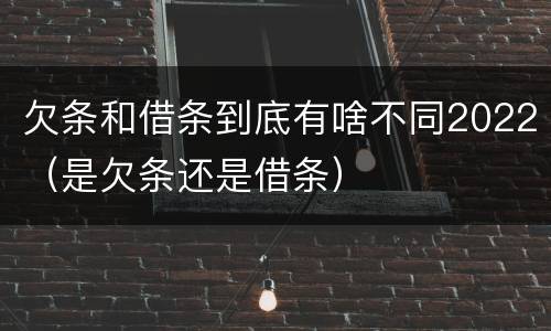 欠条和借条到底有啥不同2022（是欠条还是借条）