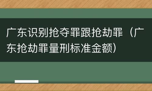 广东识别抢夺罪跟抢劫罪（广东抢劫罪量刑标准金额）
