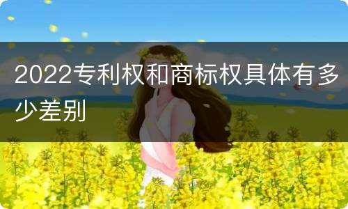 2022专利权和商标权具体有多少差别