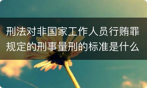 刑法对非国家工作人员行贿罪规定的刑事量刑的标准是什么样的