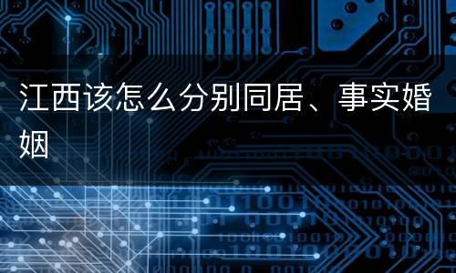 江西该怎么分别同居、事实婚姻