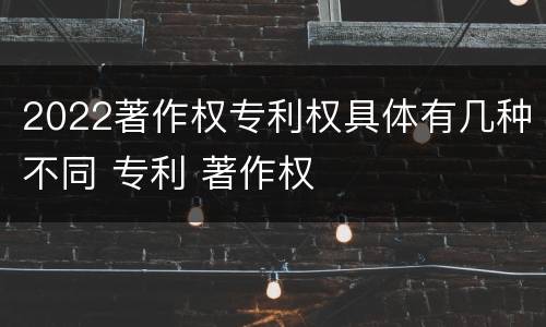 2022著作权专利权具体有几种不同 专利 著作权
