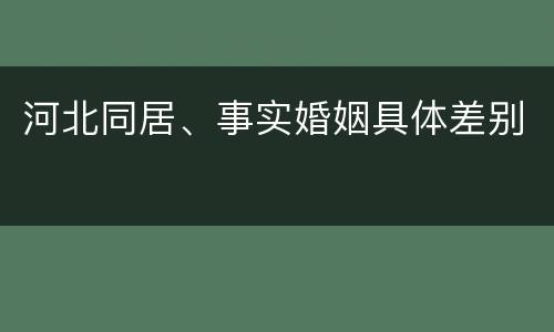 河北同居、事实婚姻具体差别
