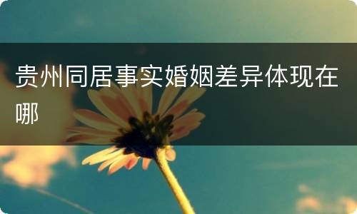 贵州同居事实婚姻差异体现在哪