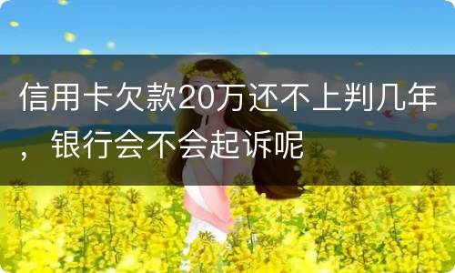 信用卡欠款20万还不上判几年，银行会不会起诉呢