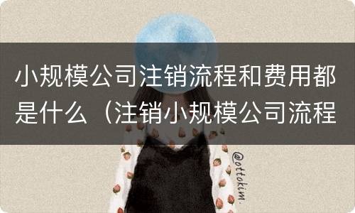 小规模公司注销流程和费用都是什么（注销小规模公司流程及费用）